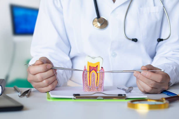 Best Emergency Dental Services for Seniors in Chicago, IL